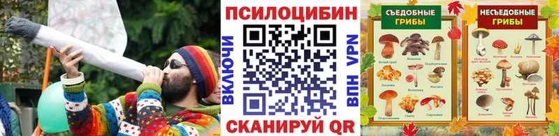 дарнет шоп  Судогда  ссылка на мегу сайт  Псилоцибиновые грибы Cubensis 